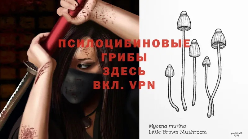 Галлюциногенные грибы MAGIC MUSHROOMS  Приволжский 